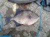 phone pics 31082011 043.jpg
