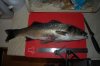 DSC_8801.jpg
