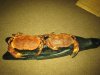 IMG_1940.jpg