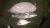 2011-10-21_21-12-24_63.jpg