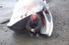 nac and whale 066.jpg