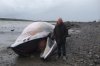 nac and whale 052.jpg