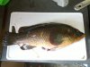 20120201_002.jpg