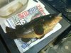 20120201_003.jpg