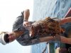 DSCN1016.jpg
