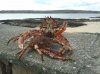 2012-04-28 15.51.19.jpg