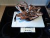 IMG_20120428_202051.jpg