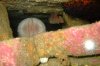 Lobster pnd 2.05.2012 009.jpg