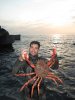 dances_with_spider_crabs.jpg