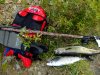divegear.JPG