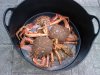 IMG_20120620_160106.jpg