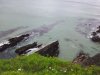 phone pics 253.jpg