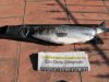 10lb bass 3.JPG
