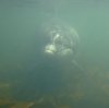 Eamon O Rian.niamhsurf.dusty 134.jpg