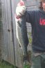 Sligo Bass.jpg