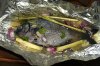 FISH_01BFIN_LR.jpg