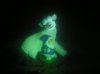 249781_4666996036865_1013099679_n.jpg