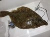 ImageUploadedByTapatalk 21360375943.285362.jpg ImageUploadedByTapatalk 21360375943.285362.jpg