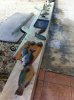 BAHAMA DAYS CATCH 017.jpg