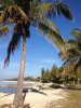 BAHAMA DAYS CATCH 018.jpg