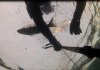 mulletcatch1806.jpg