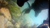 2013-06-30-106.jpg