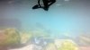 2013-06-30-105.jpg