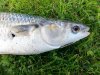 20130811_153830.jpg