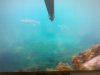 2013-09-07-418.jpg