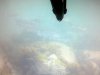2013-09-08-481.jpg