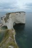 oldharry2.jpg