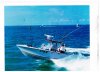 SeaAyeBoatPic001.jpg