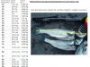 Bass length to weight.jpg