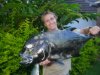 Wallis_20120518_3117.jpeg