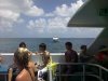 Cairns Holiday 2014 108.jpg