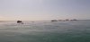 bd3.jpg