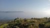 fog1.jpg fog1.jpg