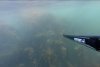 16082014c.JPG