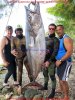 Dogtooth tuna WR 240 lbs 18.sept.2014.jpg