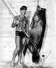 broomtail[1].jpg