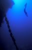 Freediving-07.jpg