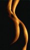 150px-Buttocks1.jpg