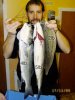 Sole, Mullet, Bass.JPG