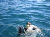 Pesca I.jpg