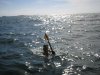 Pesca II.jpg