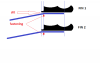 fins_3.png