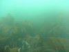 DSC00847.JPG