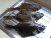 20160529_182554.jpg