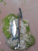 20160713_195619.jpg
