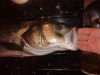 DSC01151.JPG